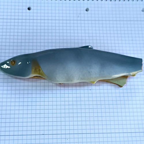 Keramik fischform grau - keramik, grau/weiß